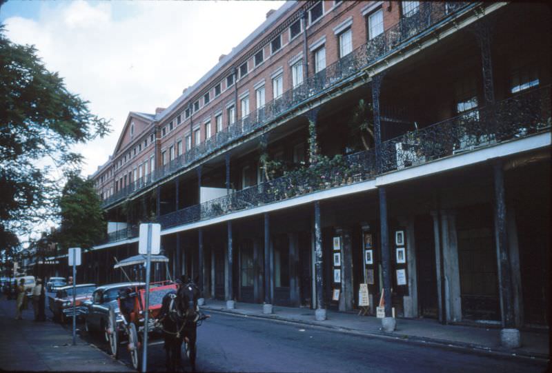 Pontalba Apts, New Orleans, 1956.