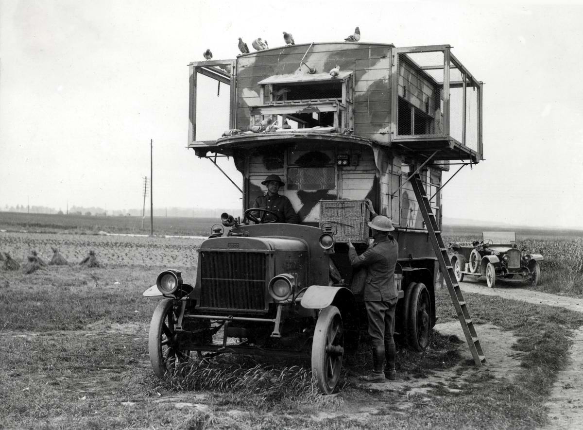 Pigeon Lofts of WWI: Historical photos of B-type Buses that were Used to Transport Messenger Birds