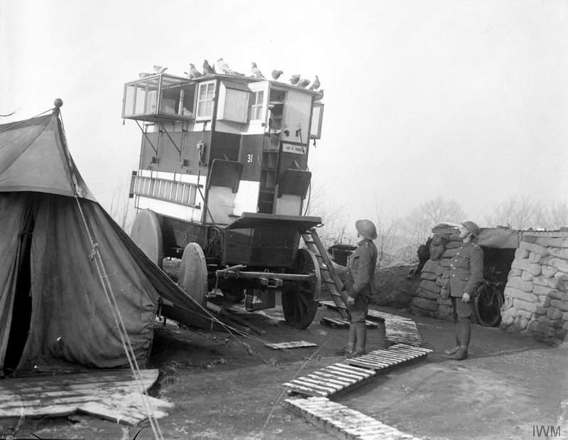 Pigeon Lofts of WWI: Historical photos of B-type Buses that were Used to Transport Messenger Birds