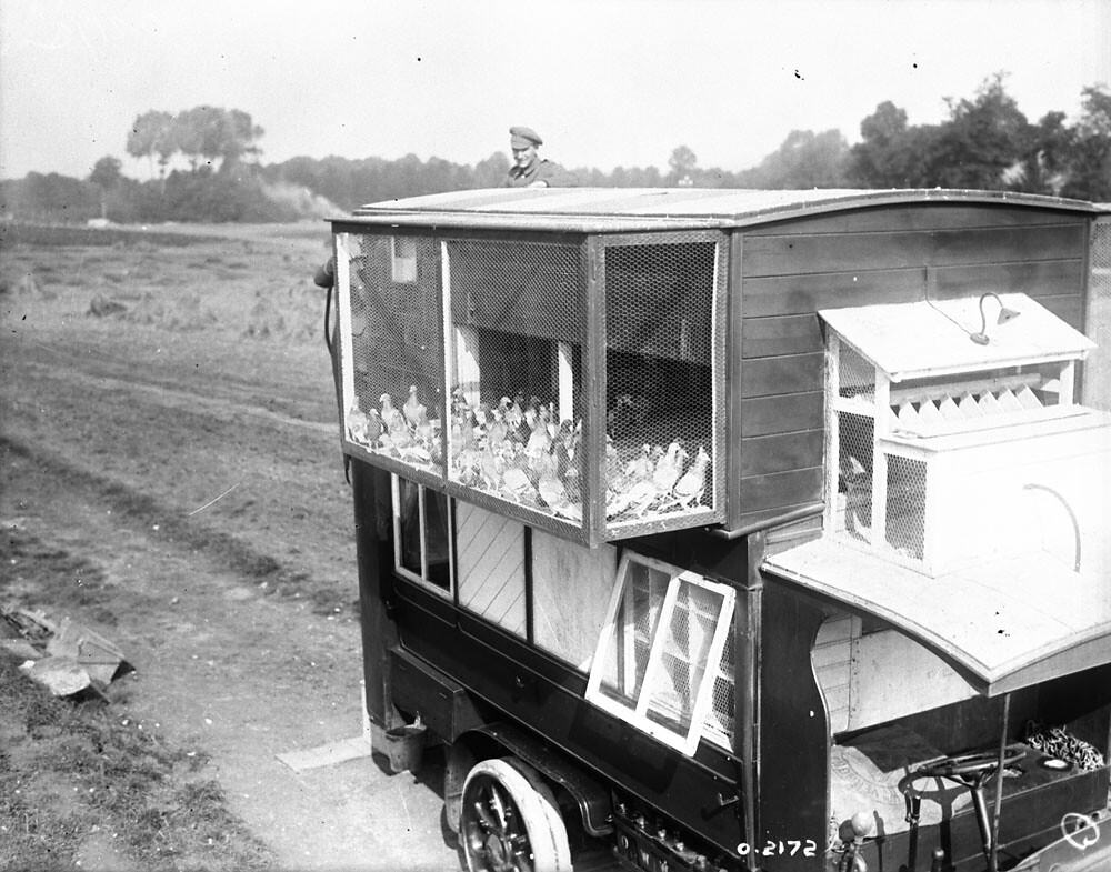 Pigeon Lofts of WWI: Historical photos of B-type Buses that were Used to Transport Messenger Birds