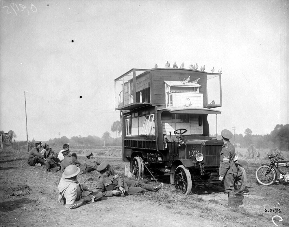 Pigeon Lofts of WWI: Historical photos of B-type Buses that were Used to Transport Messenger Birds