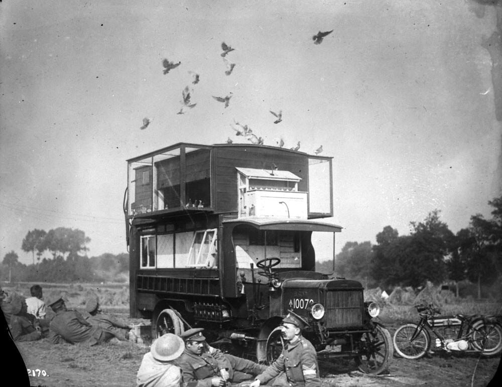 Pigeon Lofts of WWI: Historical photos of B-type Buses that were Used to Transport Messenger Birds