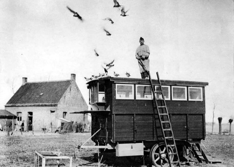 Pigeon Lofts of WWI: Historical photos of B-type Buses that were Used to Transport Messenger Birds