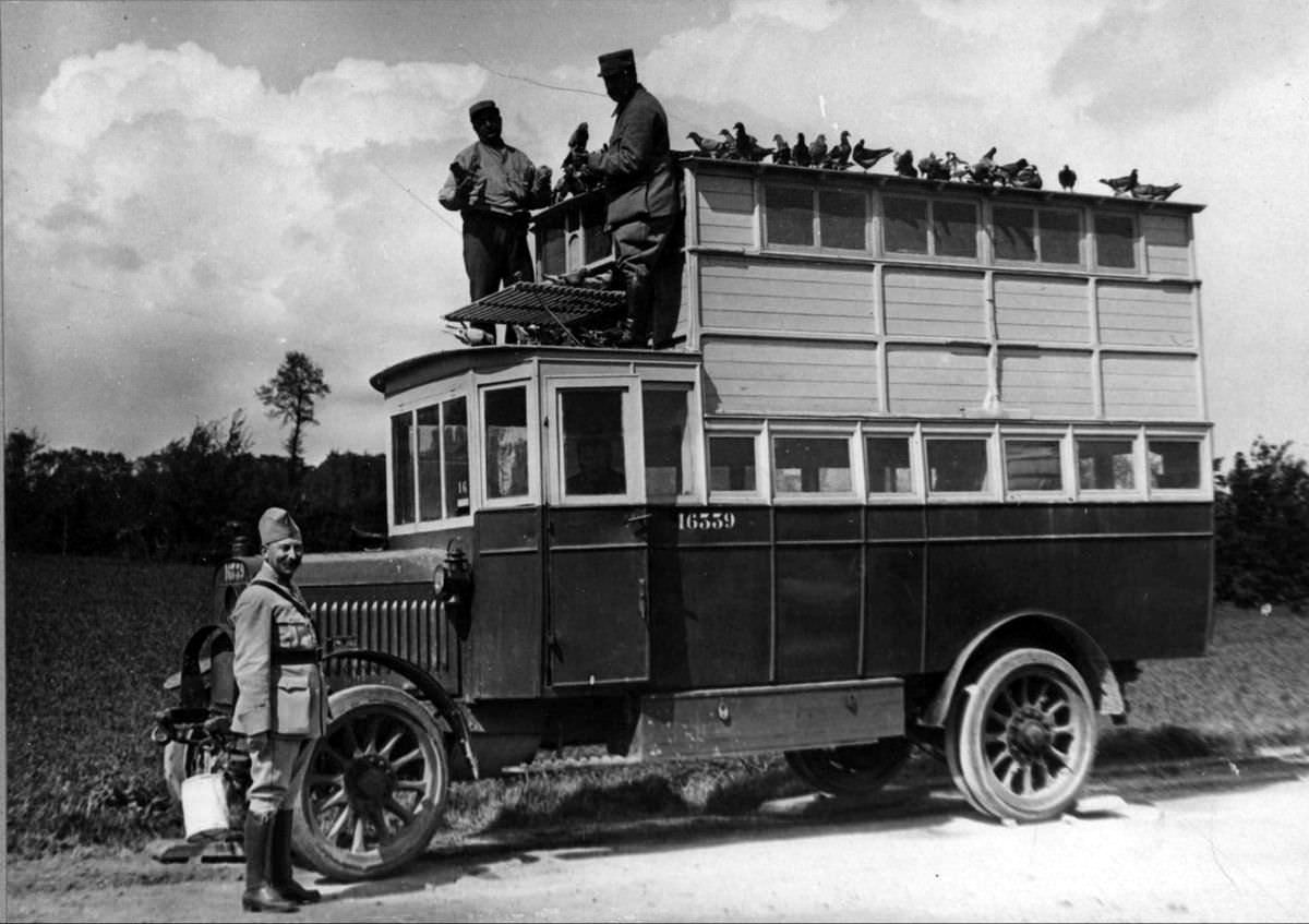 Pigeon Lofts of WWI: Historical photos of B-type Buses that were Used to Transport Messenger Birds