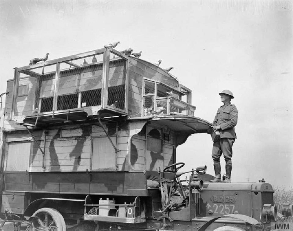 Pigeon Lofts of WWI: Historical photos of B-type Buses that were Used to Transport Messenger Birds