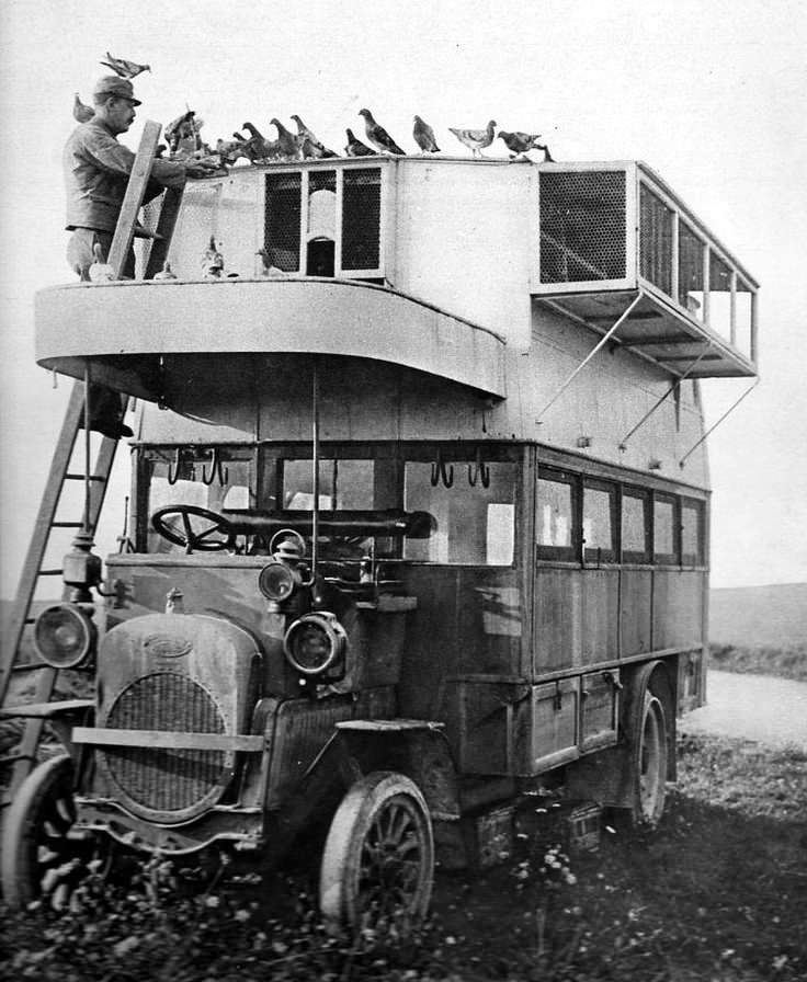 Pigeon Lofts of WWI: Historical photos of B-type Buses that were Used to Transport Messenger Birds