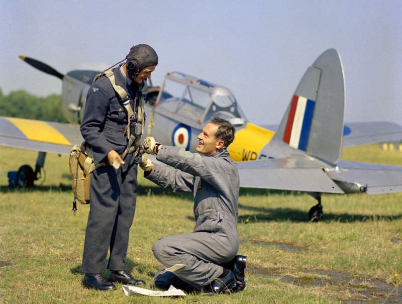 De Havilland Chipmunk, 1954