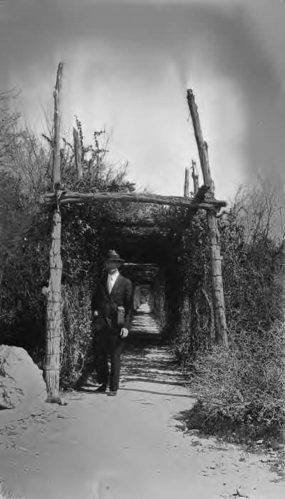 "Lover's Lane," Brackenridge Park, San Antonio, 1927