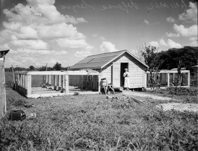 Photograph of the Animal Defense League Kennels, 1925