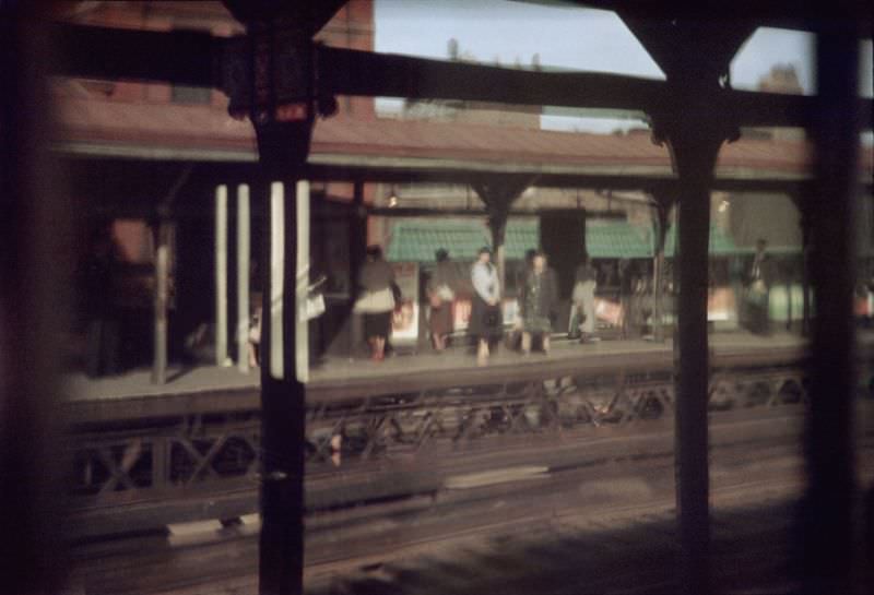 El, New York, 1954