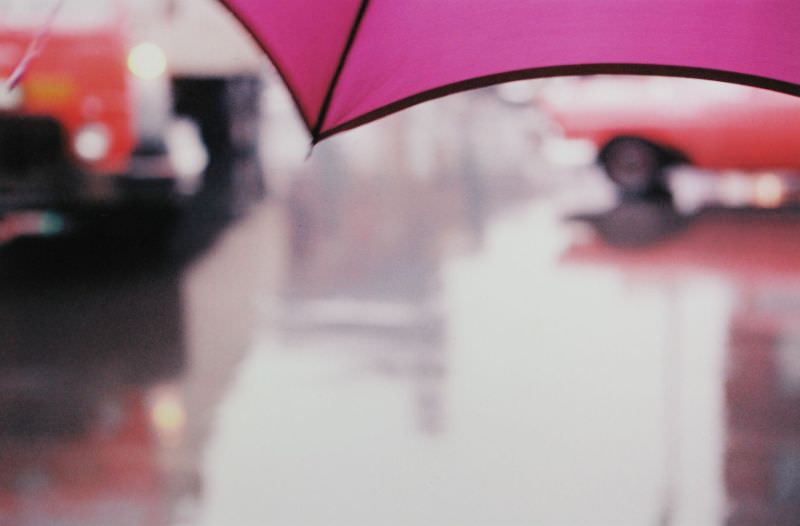 Purple Umbrella, circa 1950s