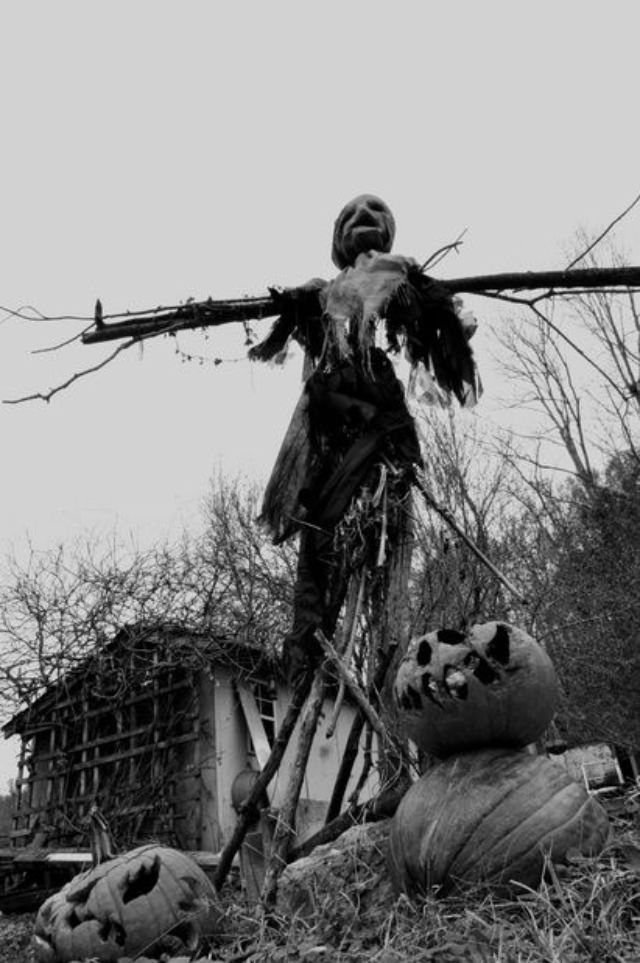 What Scarecrows looked like in the Past Through these Historical Photos