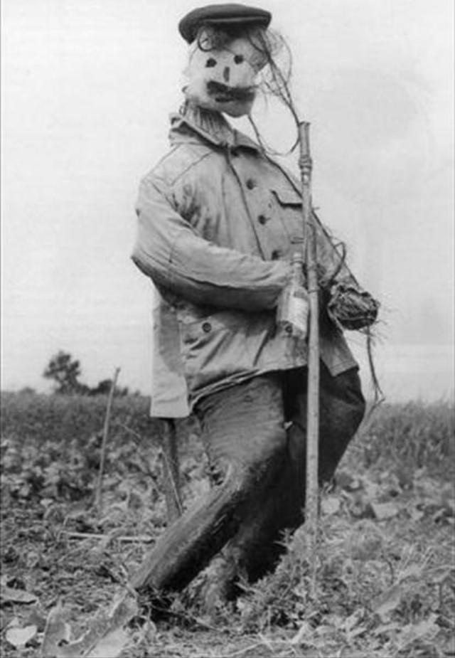 What Scarecrows looked like in the Past Through these Historical Photos