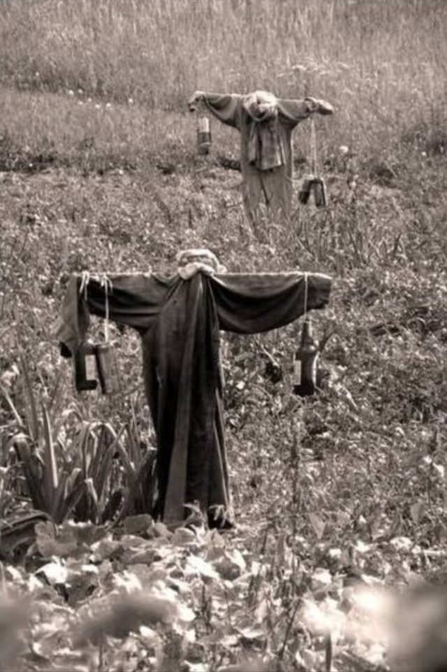 What Scarecrows looked like in the Past Through these Historical Photos