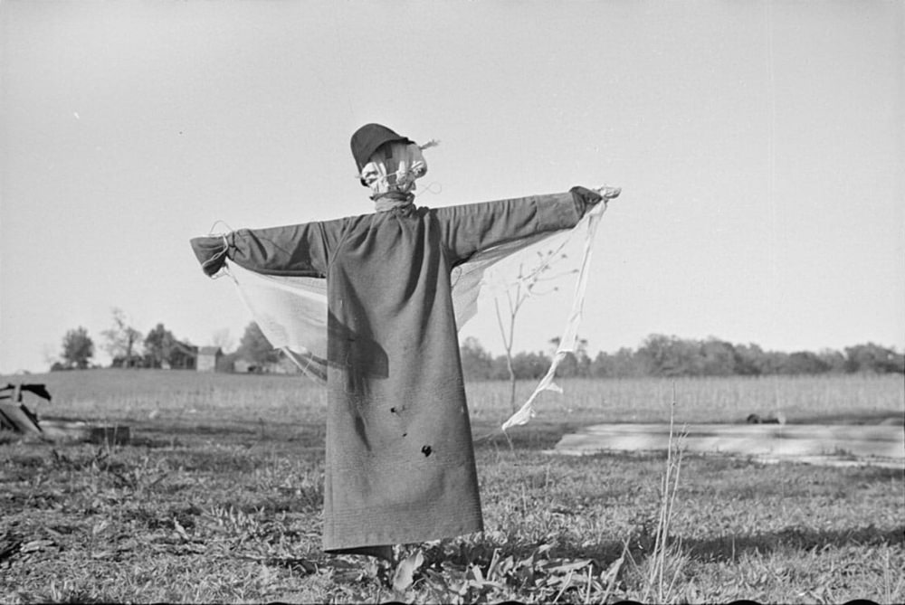 What Scarecrows looked like in the Past Through these Historical Photos