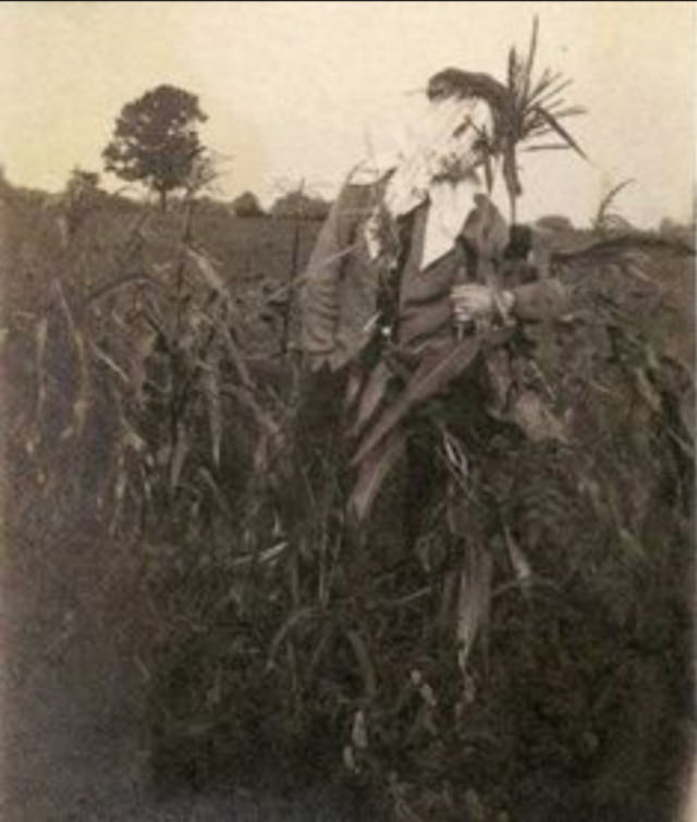 What Scarecrows looked like in the Past Through these Historical Photos