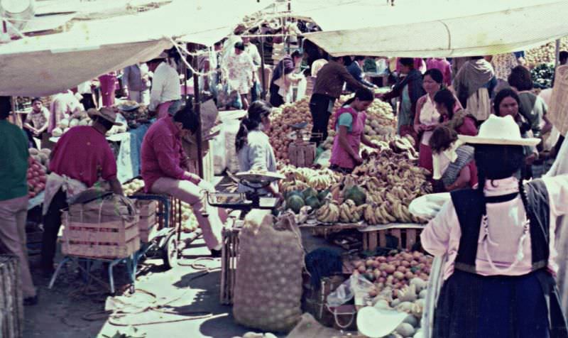 Tijuana, 1973