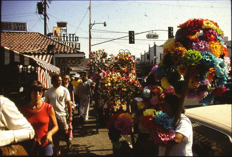 Tijuana, 1977