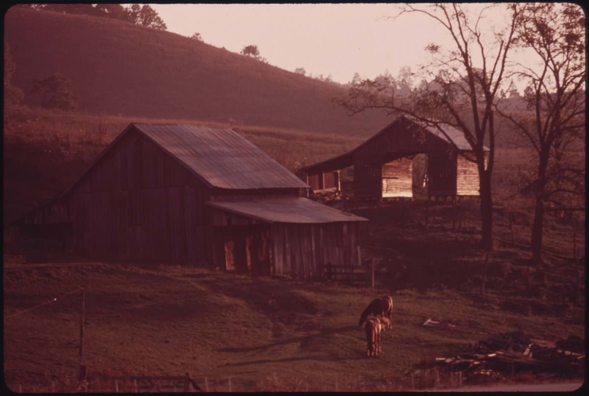 Early morning light enriches a bucolic scene at Claypool Hill, near Richlands, Virginia, about a dozen miles from the coal mines, 10/1974