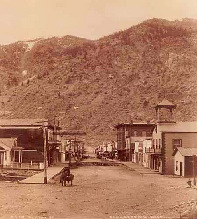 Georgetown- Alpine Street, 1885