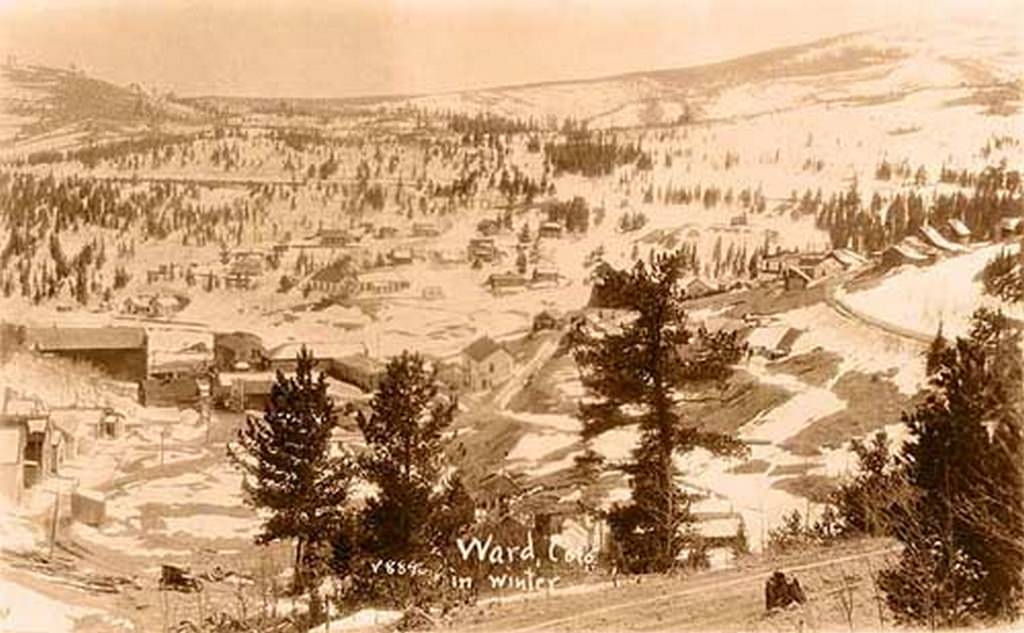 Ward in Winter,1889