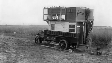 Pigeon lofts WWI