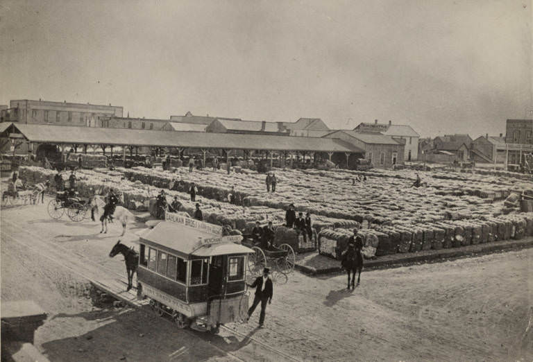 Mule Cart and Cotton Yard, 1885