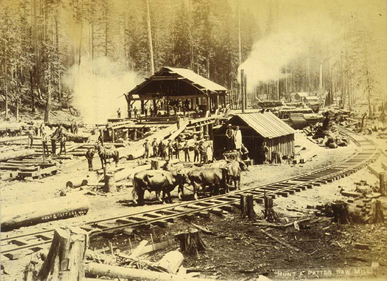 Logging operation showing a sawmill, 1899