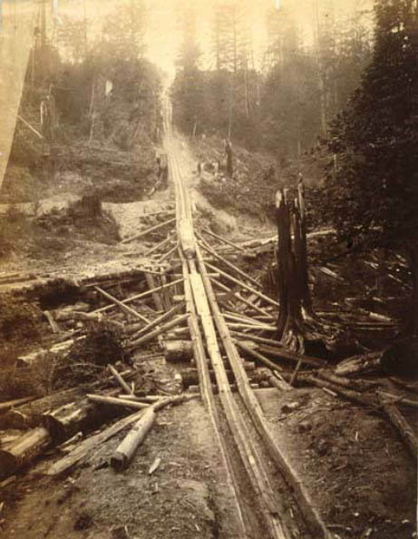 Logging operation showing a log chute, 1889
