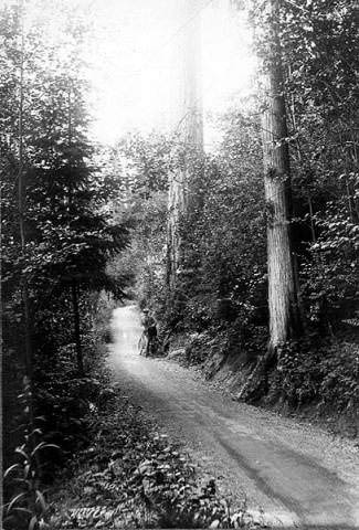 Man with bicycle on the Lake Washington bicycle path, 1899