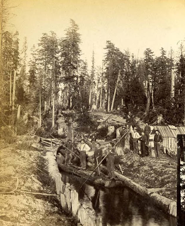 Men on log in chute filled with water, 1889