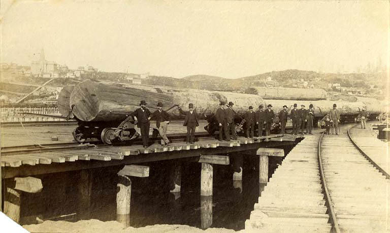 Men standing to large logs on railway cars, Seattle, 1889