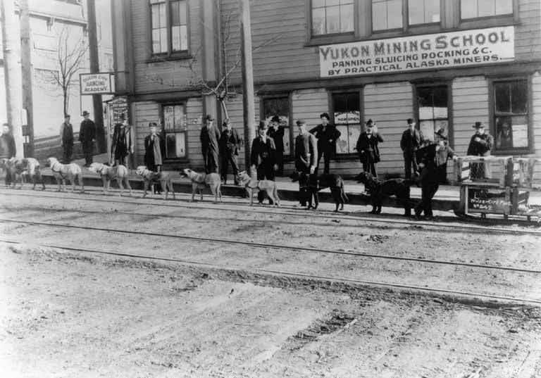 Sled dogs in front of Yukon Mining School, 1898