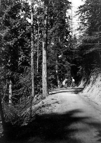 Women with bicycles on the Lake Washington bicycle path, 1899