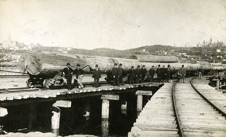 First logs on Columbia and Puget Sound Railroad, 1879