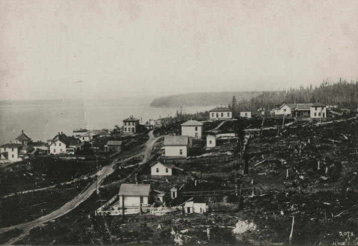 View from 2nd Ave. and Virginia Street, 1882