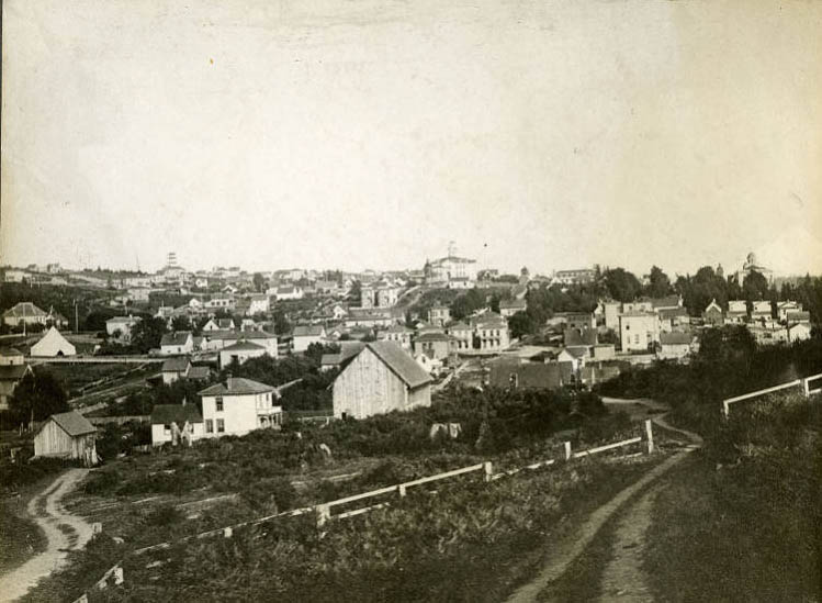 View south from 5th Ave. and Pine Street, 1887