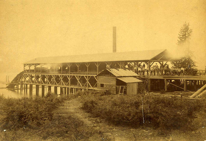 Ballard sawmill, 1889