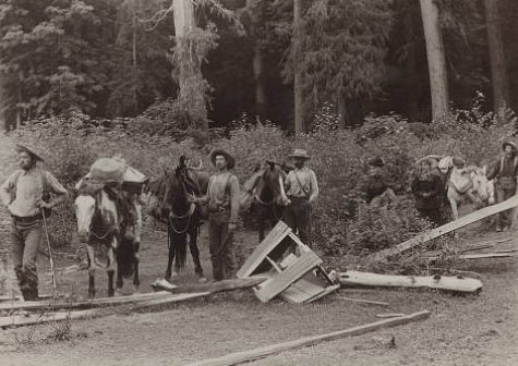 Expedition returning to Antlers Hotel after trip to Olympic Mountains, 1898