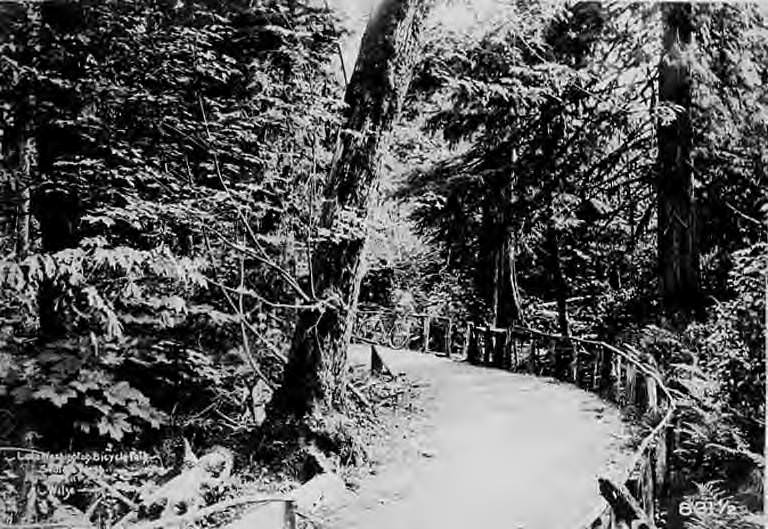 Bend in the path with bicycle in distance, Seattle, 1897