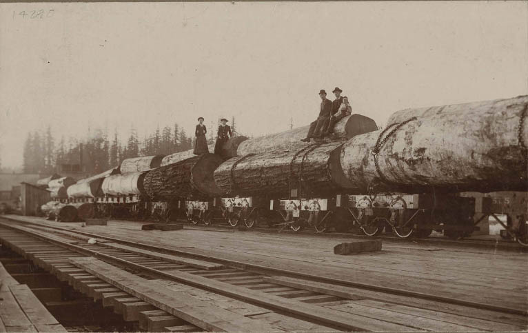 rain of Logs at Yesler (Town), 1893