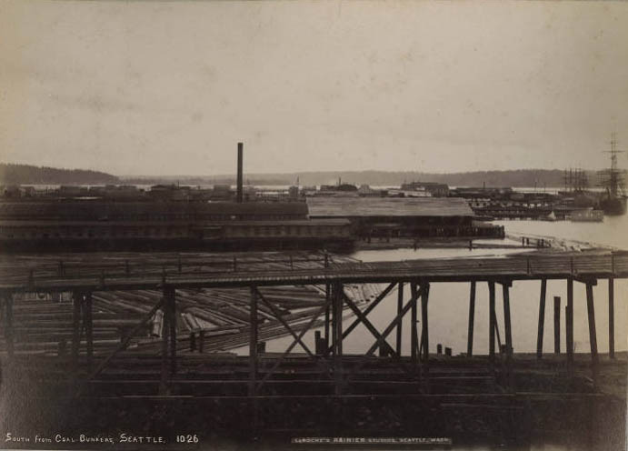 View south from Seattle coal bunkers, 1890