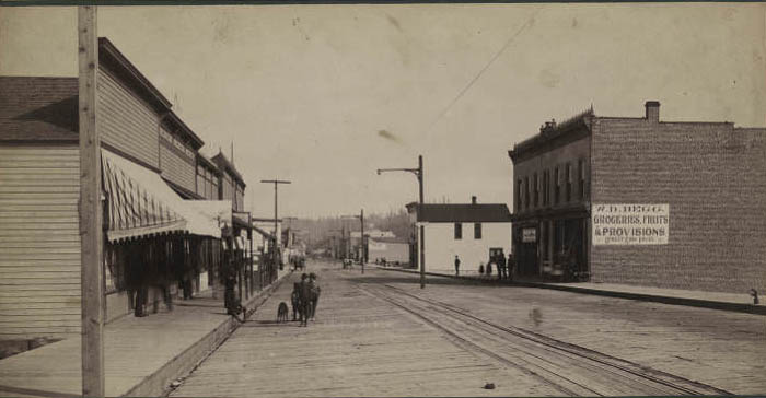 View south on Ballard Avenue, 1891