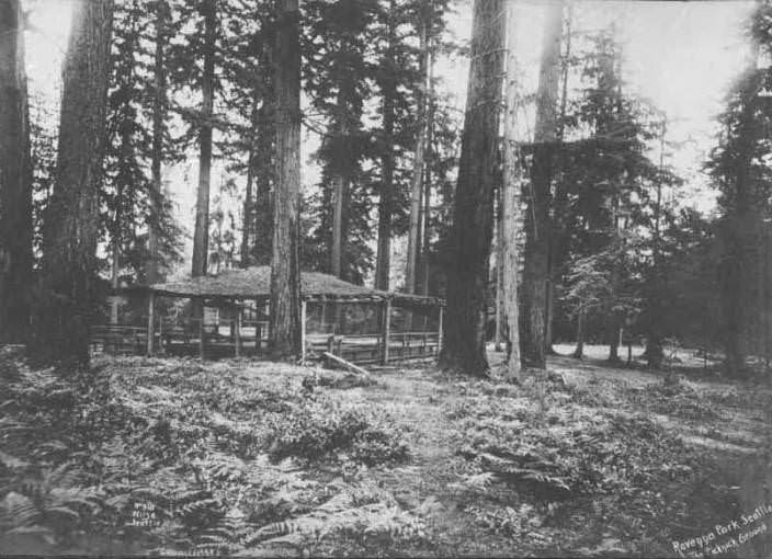 Covered facility for picnics at Ravenna Park, 1898