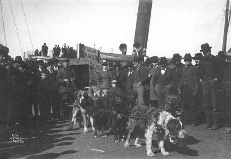 Crowd gathered around dog team near waterfront, Seattle, 1898