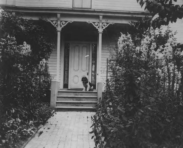 David T. Denny Residence at Republican St. with dog, possibly "Curly," on the front porch, 1890