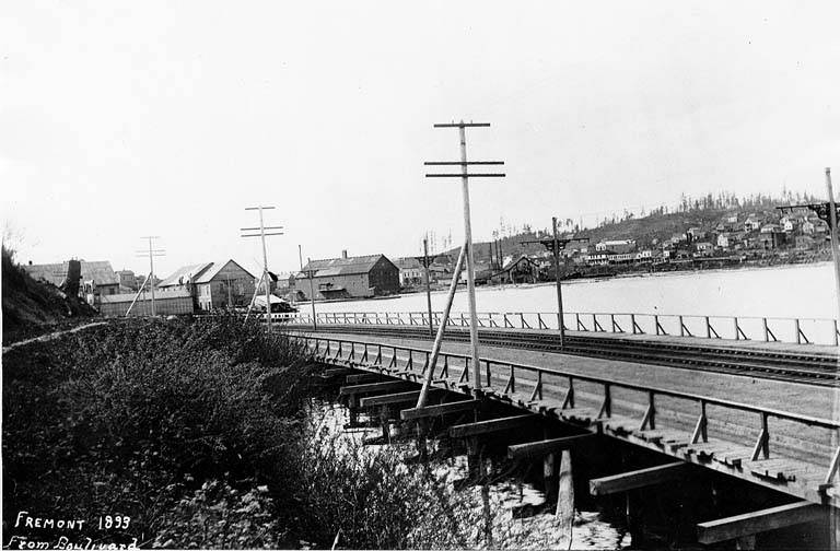 Fremont and Lake Union seen from Queen Anne, 1893