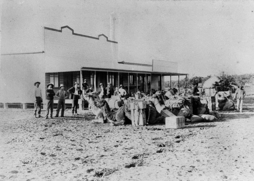 Unloading the camel team in front of the store at Boulia, 1895