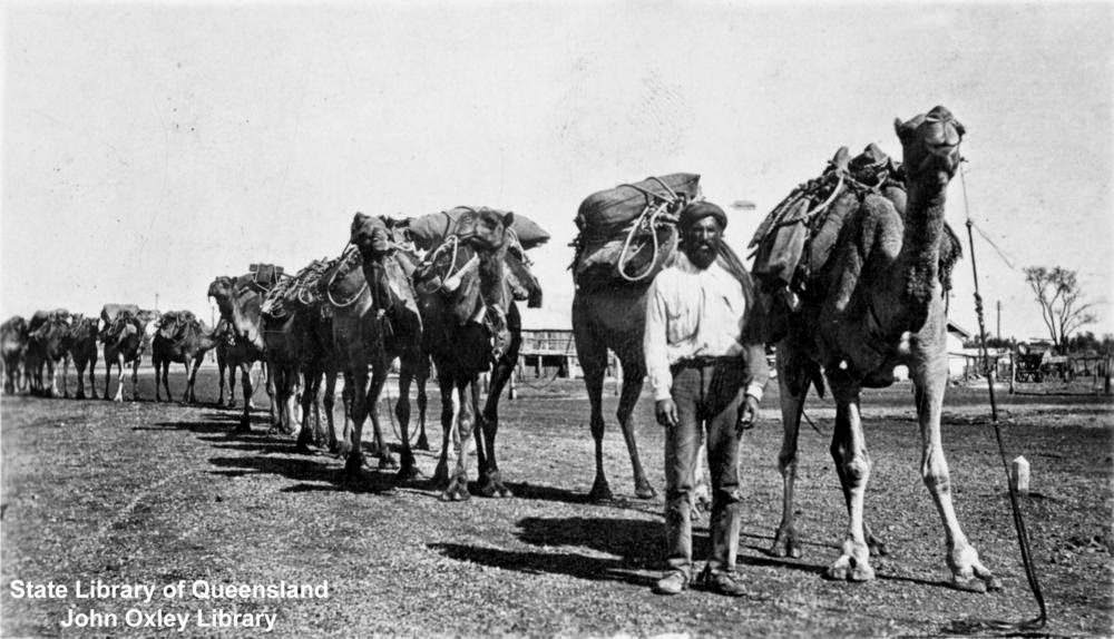 Camel driver and a caravan of camels returning home
