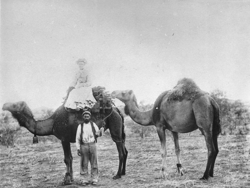 Afghan cameleer escorts Mrs Walter Lawrence Silver on the wallaby track, 1904